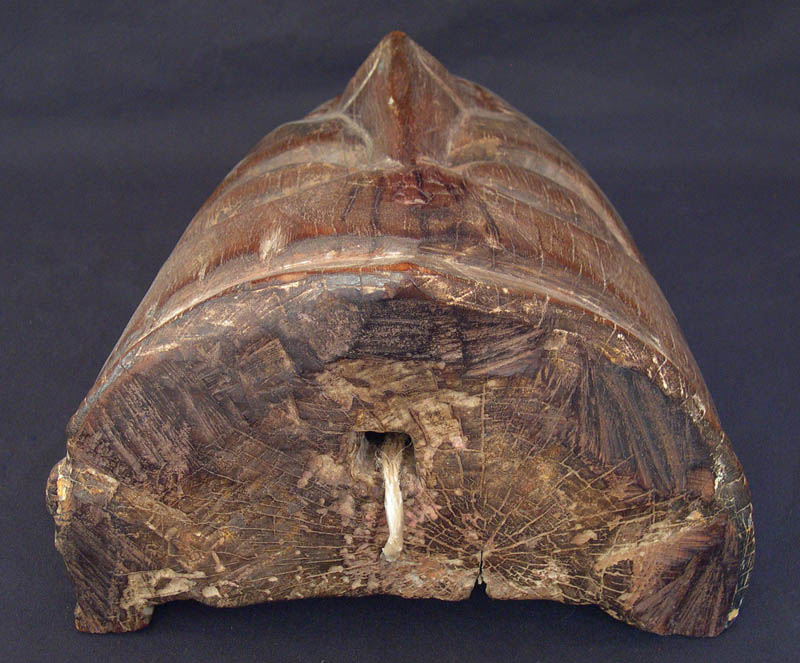 Terai Mask