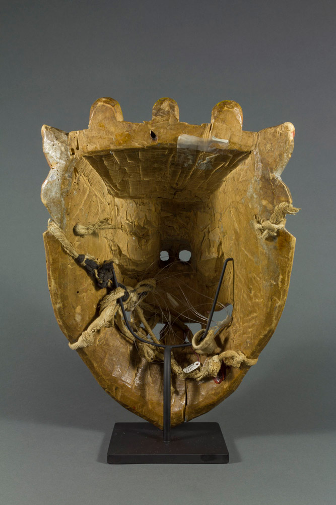 Lion Mask