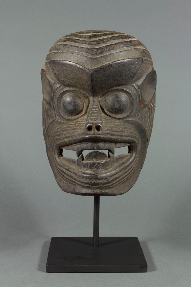 Monkey Mask