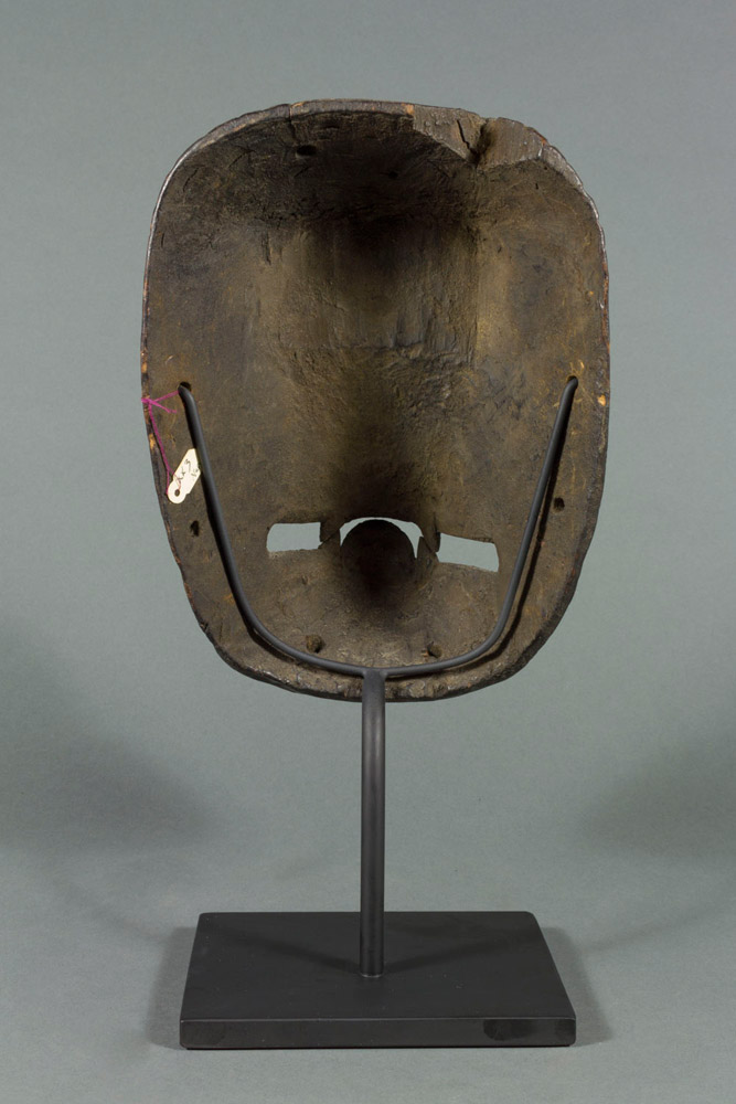 Monkey Mask