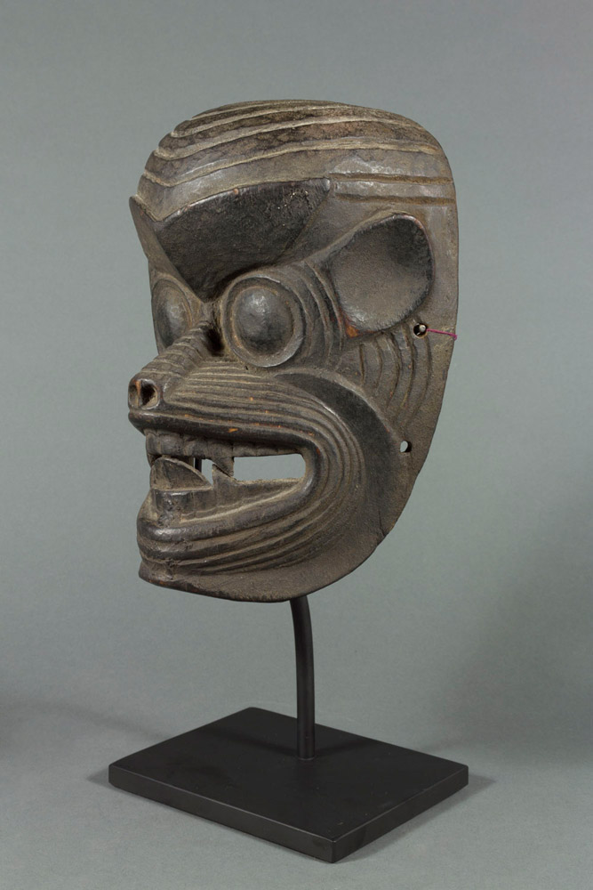 Monkey Mask