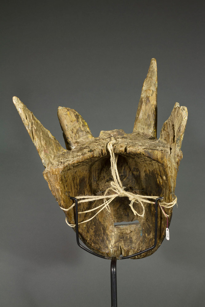 Terai Mask